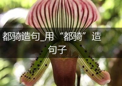 都骑造句_用“都骑”造句子