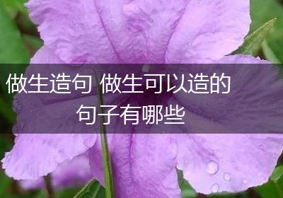 做生造句 做生可以造的句子有哪些