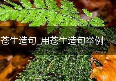 苍生造句_用苍生造句举例