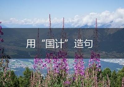 用“国计”造句