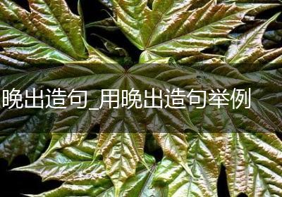 晚出造句_用晚出造句举例