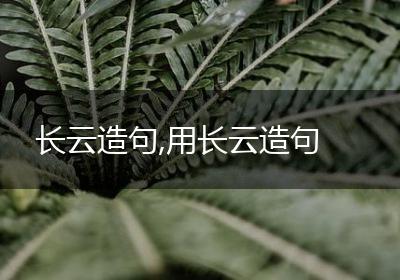 长云造句,用长云造句