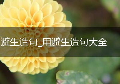 避生造句_用避生造句大全