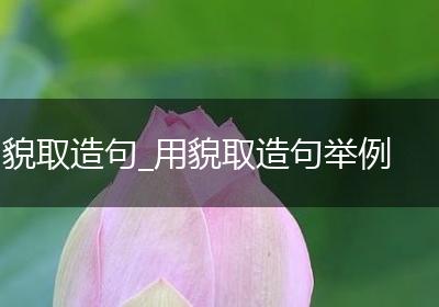 貌取造句_用貌取造句举例