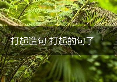 打起造句 打起的句子