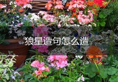狼星造句怎么造
