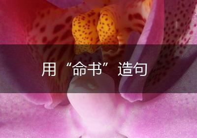用“命书”造句