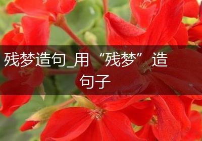 残梦造句_用“残梦”造句子