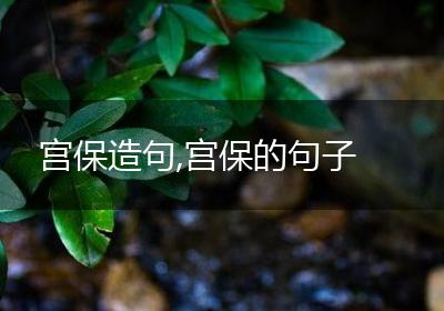 宫保造句,宫保的句子