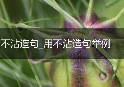 不沾造句_用不沾造句举例