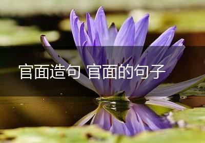 官面造句 官面的句子
