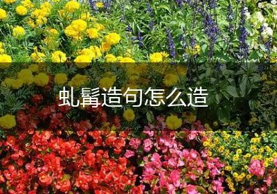 虬髯造句怎么造