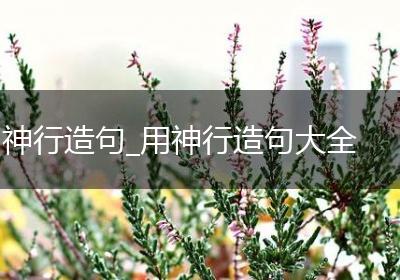 神行造句_用神行造句大全