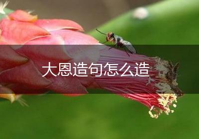 大恩造句怎么造