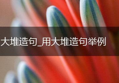 大堆造句_用大堆造句举例