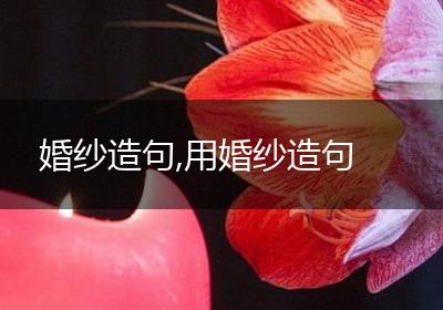 婚纱造句,用婚纱造句
