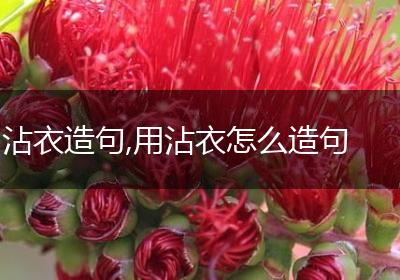 沾衣造句,用沾衣怎么造句