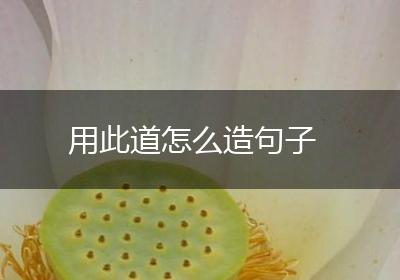 用此道怎么造句子