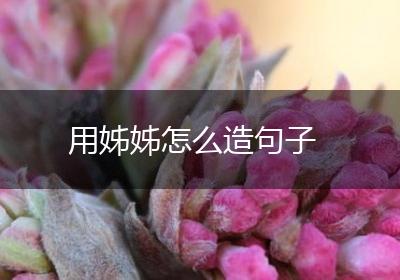 用姊姊怎么造句子
