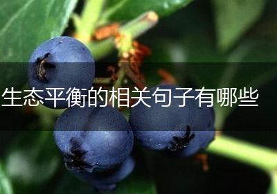 生态平衡的相关句子有哪些