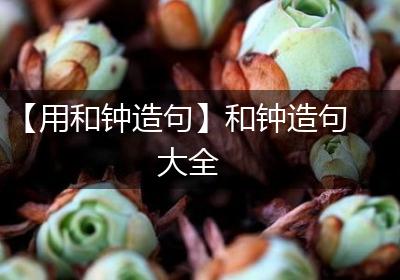 【用和钟造句】和钟造句大全