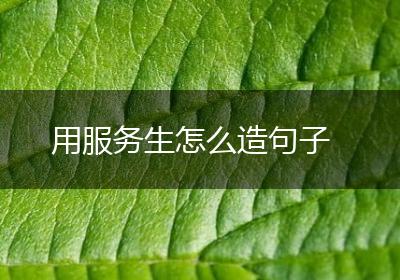 用服务生怎么造句子