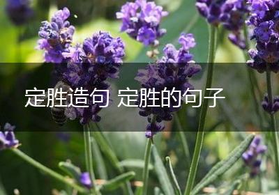 定胜造句 定胜的句子