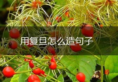 用复旦怎么造句子