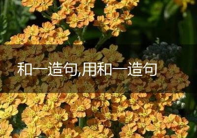 和一造句,用和一造句