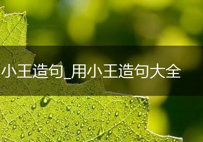 小王造句_用小王造句大全