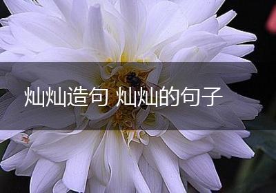 灿灿造句 灿灿的句子