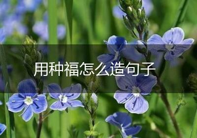 用种福怎么造句子