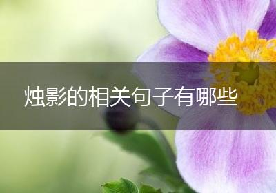 烛影的相关句子有哪些