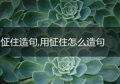 怔住造句,用怔住怎么造句