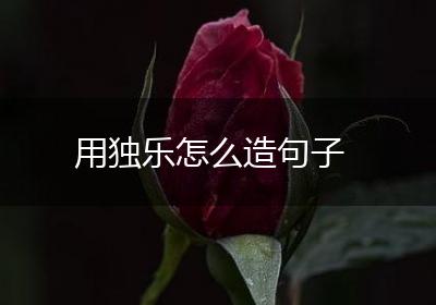 用独乐怎么造句子