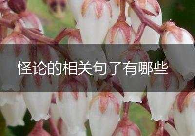 怪论的相关句子有哪些