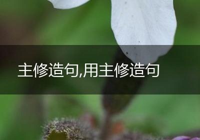 主修造句,用主修造句