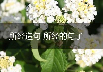 所经造句 所经的句子