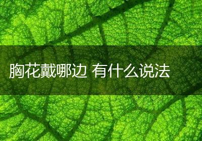 胸花戴哪边 有什么说法
