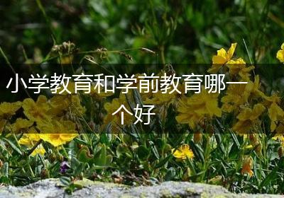 小学教育和学前教育哪一个好