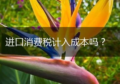 进口消费税计入成本吗？