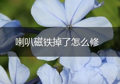 喇叭磁铁掉了怎么修
