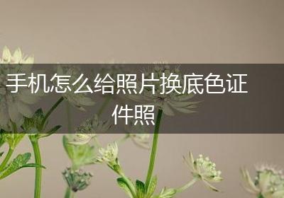 手机怎么给照片换底色证件照