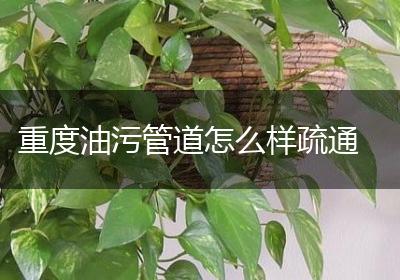 重度油污管道怎么样疏通