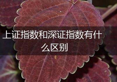上证指数和深证指数有什么区别