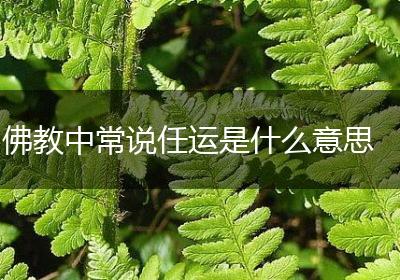 佛教中常说任运是什么意思