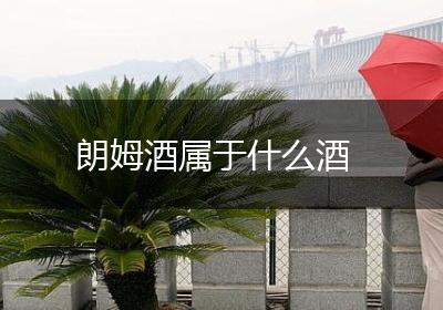 朗姆酒属于什么酒