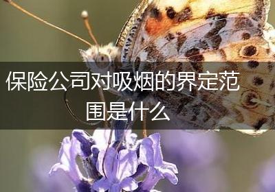 保险公司对吸烟的界定范围是什么