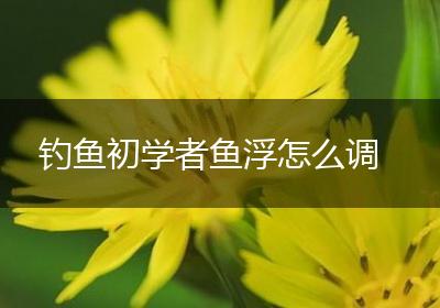 钓鱼初学者鱼浮怎么调