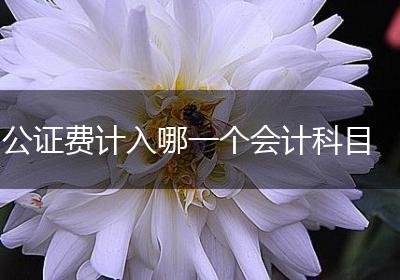 公证费计入哪一个会计科目